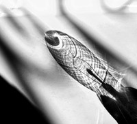Glass Casts Shadows IV