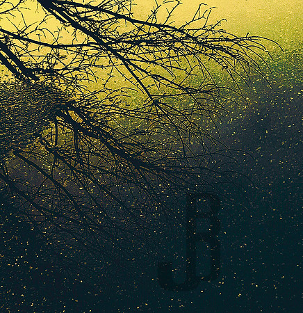 From the Void (2017)