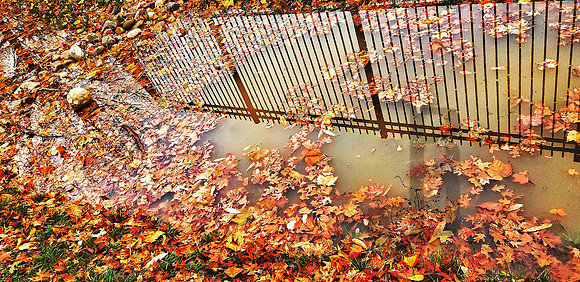 Reflected Fence (2019)