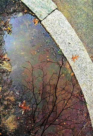 Reflecting #1