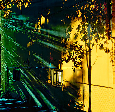 Light Shadow Alley (2023)