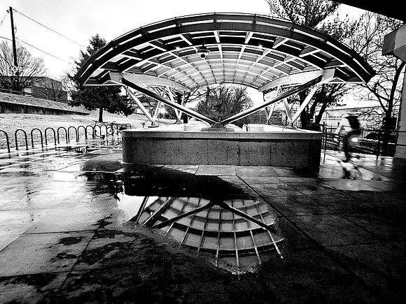 Canopy Reflection & Biker (2025)