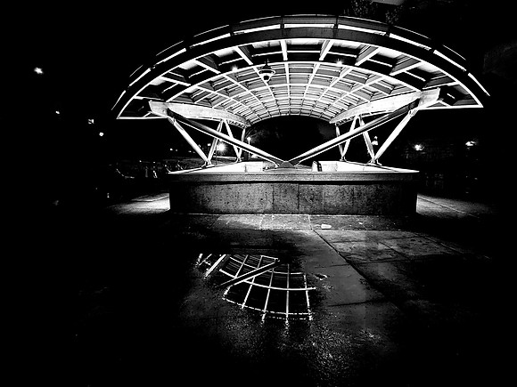 Canopy and Reflection I (2025)