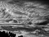 In a Sea of Clouds III (2023)