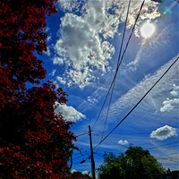 Out Back Sky III (5-11-2024)