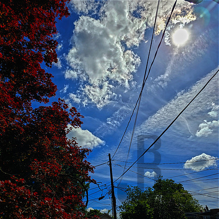 Out Back Sky III (5-11-2024)